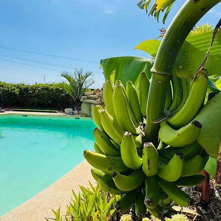 Maradentro - Private Pool And Jacuzzi With Ocean View Arafo